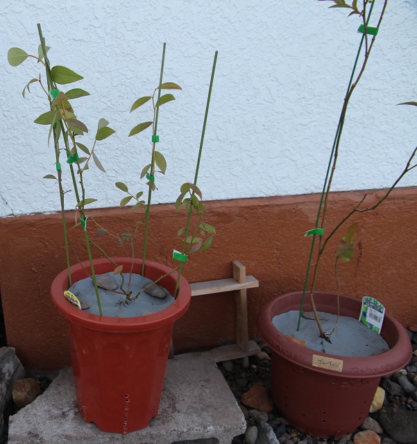 ファイル 60-6.jpg