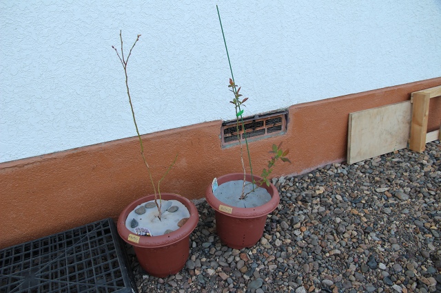 ファイル 60-7.jpg