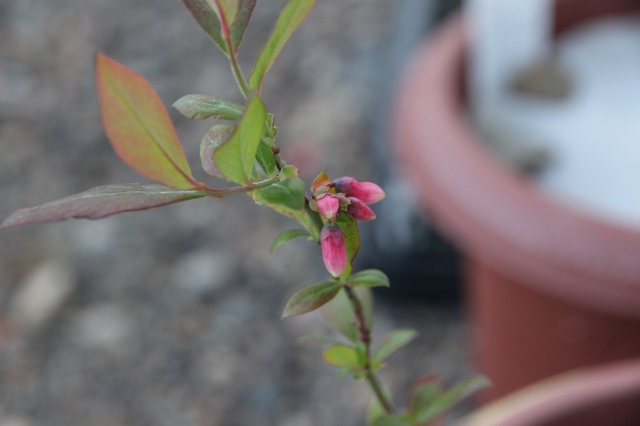 ファイル 60-8.jpg