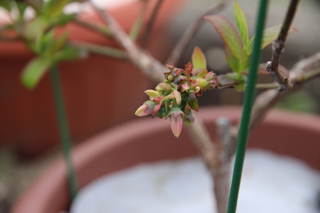 ファイル 61-6.jpg