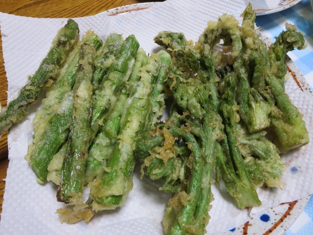 ファイル 62-1.jpg