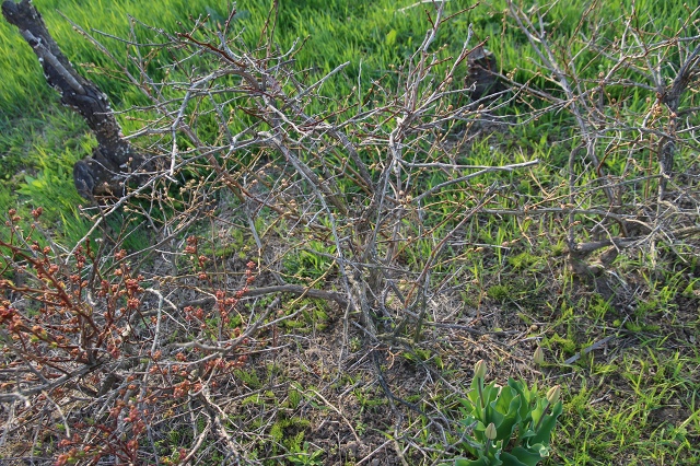 ファイル 62-7.jpg