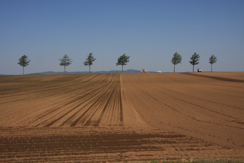 ファイル 63-1.jpg