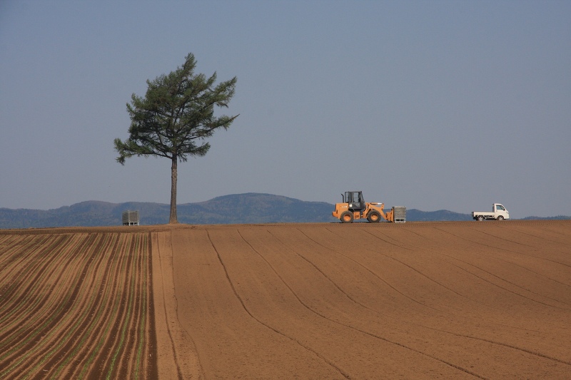 ファイル 63-2.jpg