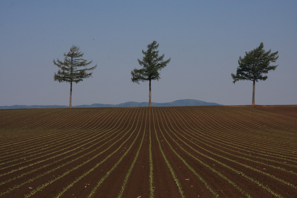 ファイル 65-1.jpg