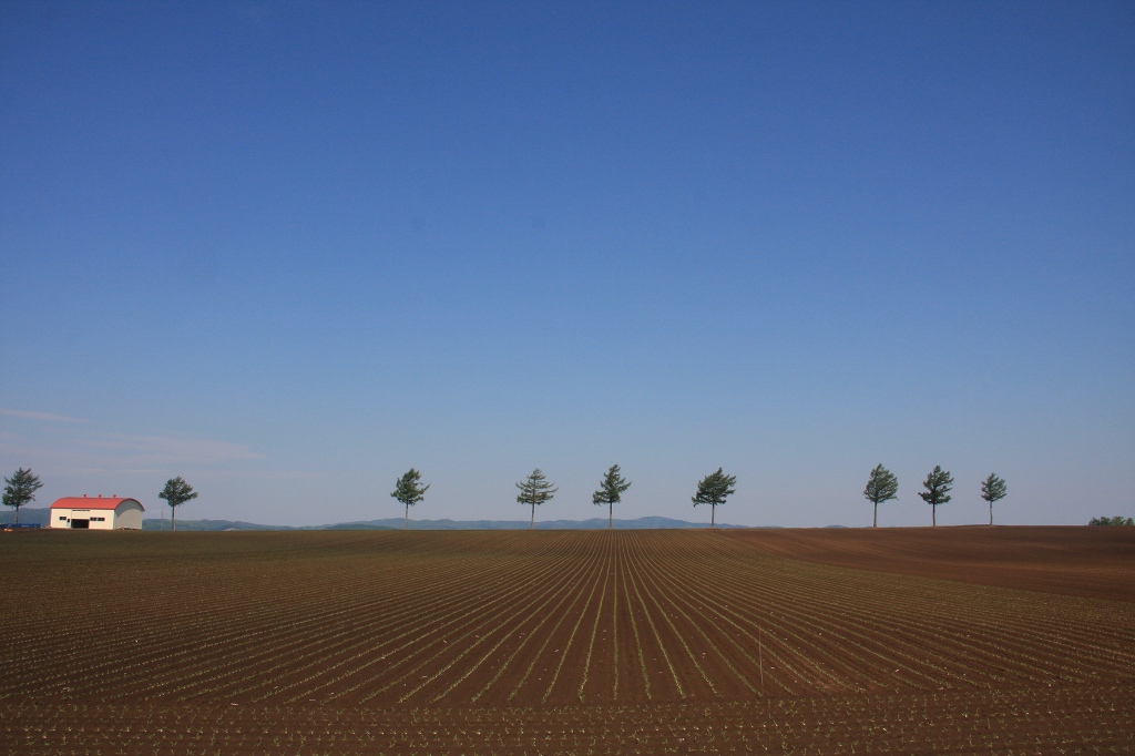 ファイル 65-2.jpg