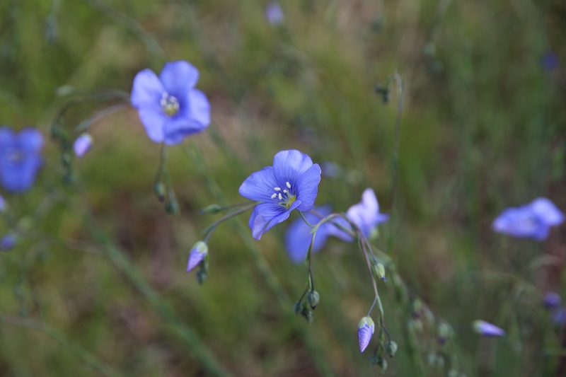 ファイル 66-2.jpg