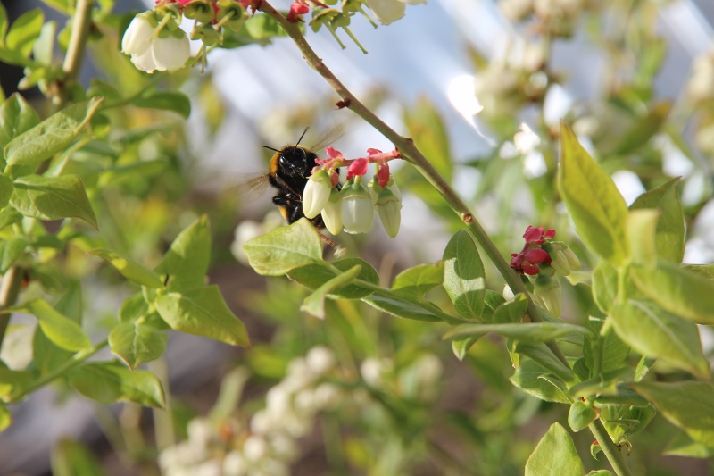 ファイル 66-6.jpg