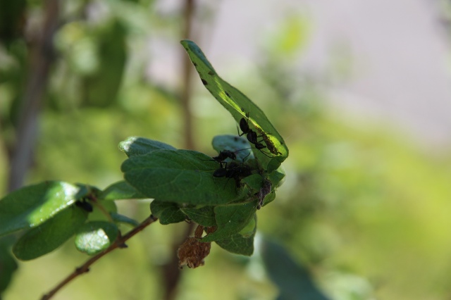 ファイル 68-4.jpg