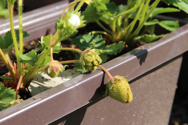 ファイル 68-6.jpg