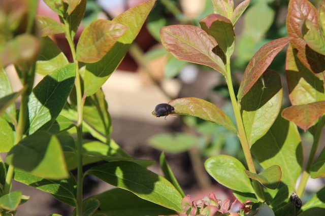 ファイル 68-7.jpg