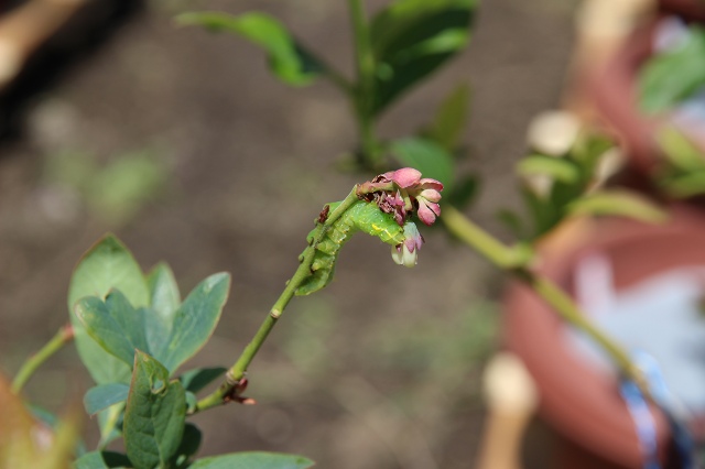 ファイル 68-8.jpg