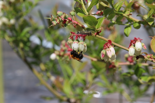 ファイル 68-9.jpg