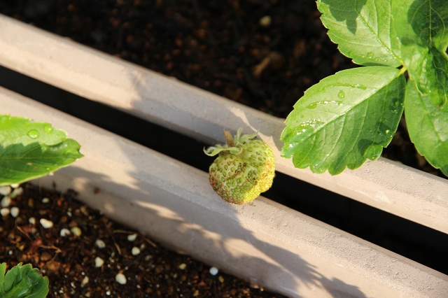 ファイル 69-4.jpg