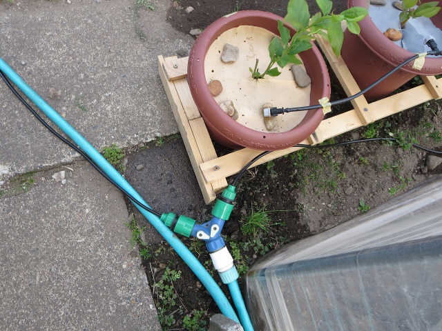 ファイル 69-5.jpg