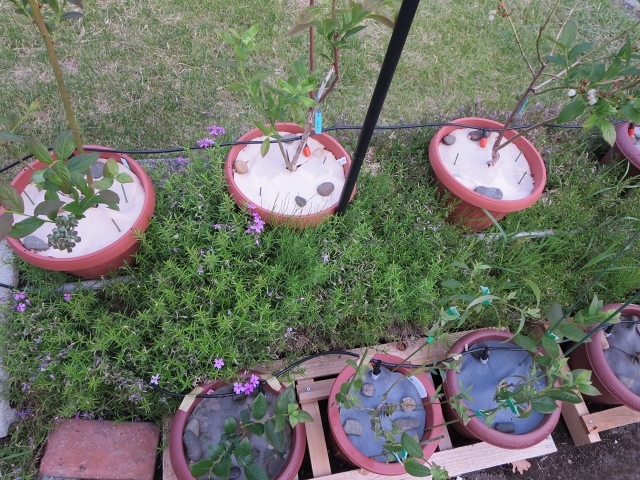 ファイル 69-6.jpg