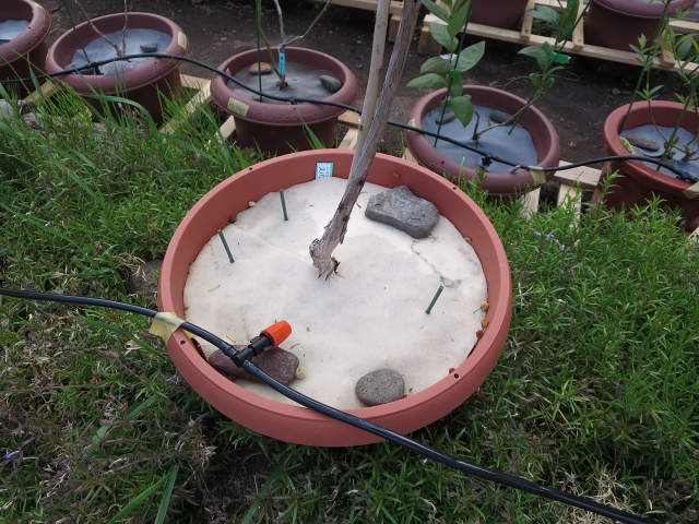 ファイル 69-7.jpg