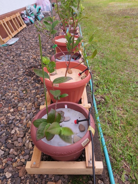 ファイル 69-9.jpg