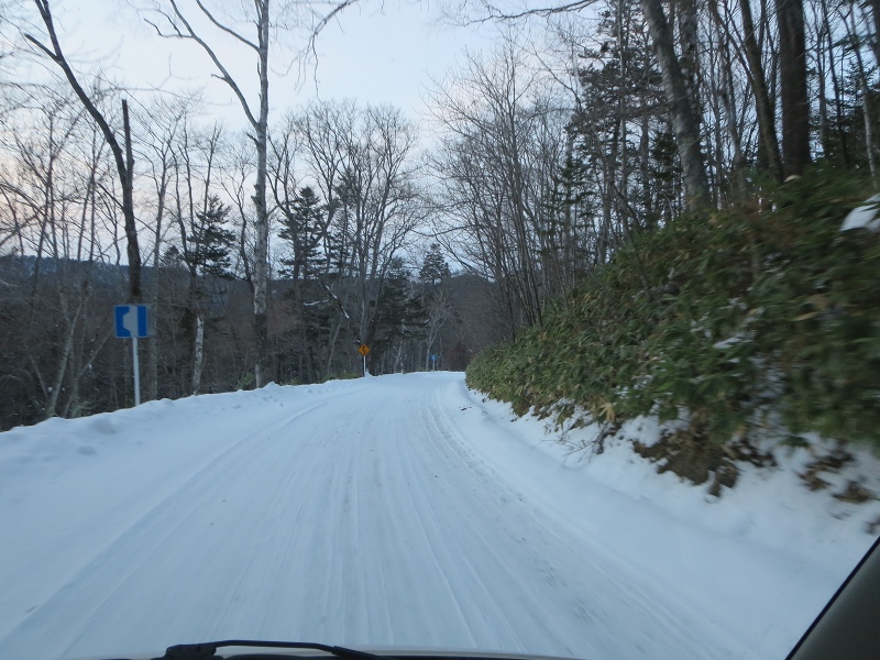 ファイル 7-1.jpg