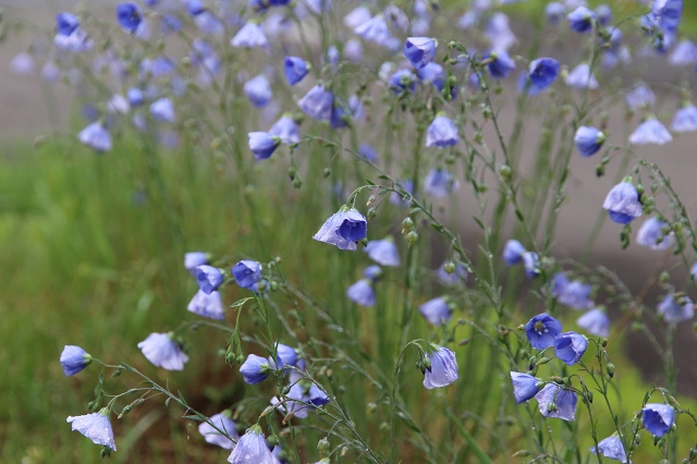 ファイル 70-4.jpg