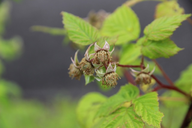 ファイル 70-6.jpg