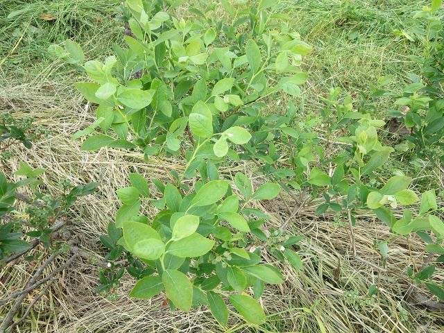 ファイル 71-5.jpg