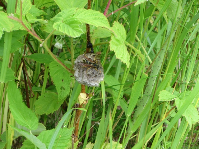 ファイル 71-9.jpg