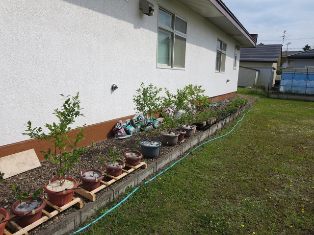 ファイル 72-1.jpg