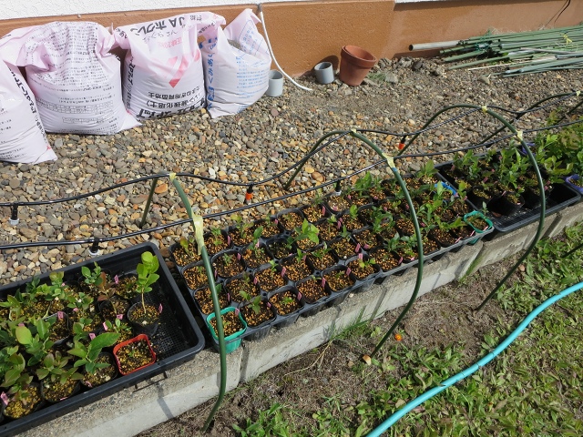 ファイル 72-2.jpg