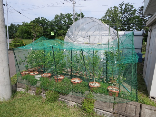 ファイル 72-3.jpg