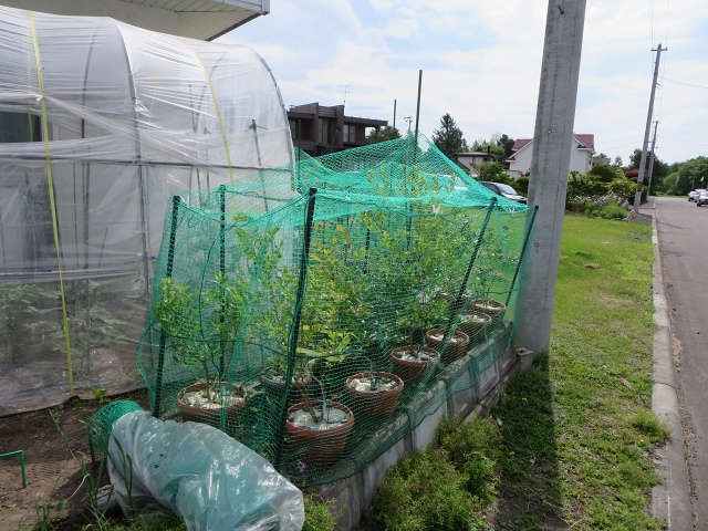 ファイル 72-4.jpg