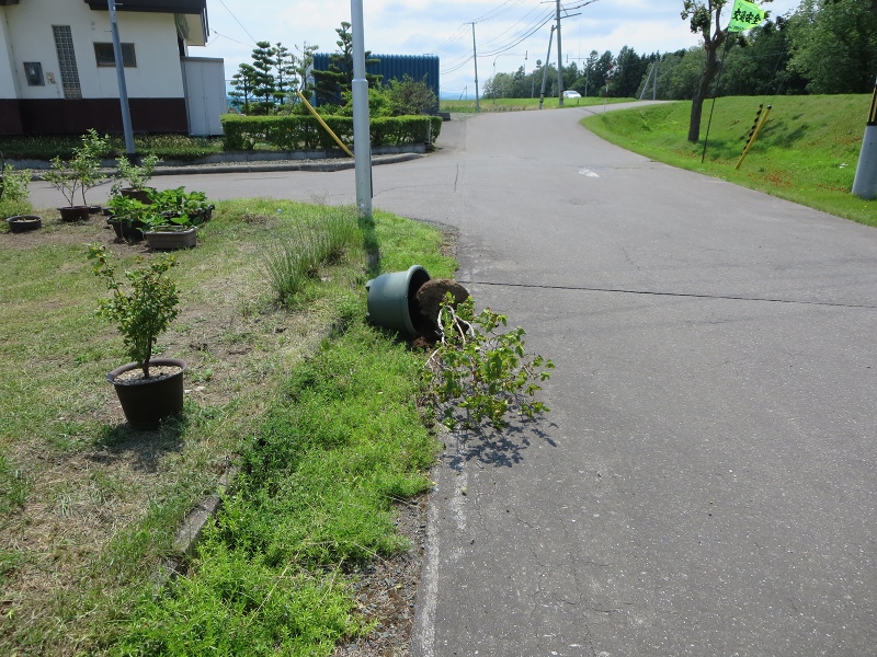 ファイル 72-5.jpg