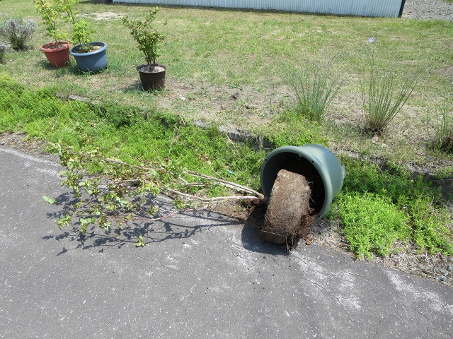 ファイル 72-6.jpg