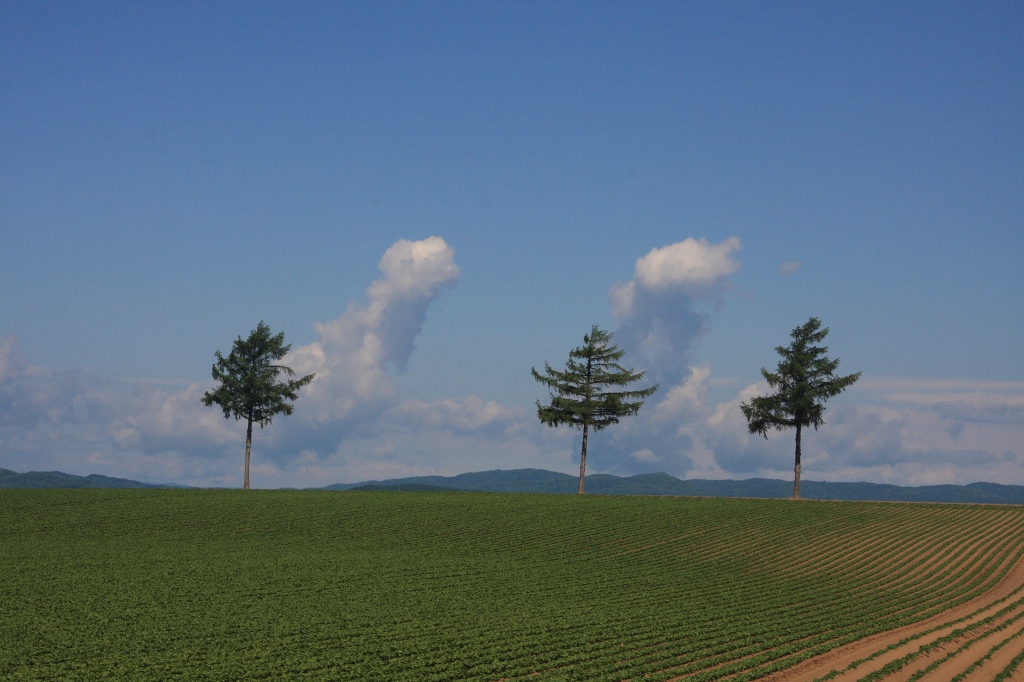 ファイル 73-1.jpg