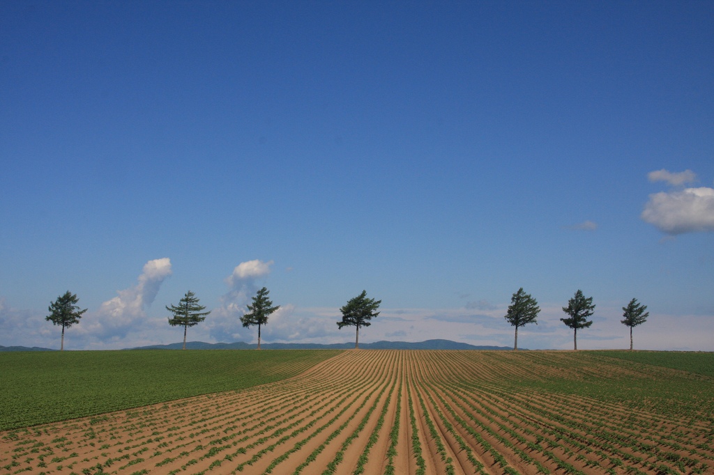 ファイル 73-2.jpg