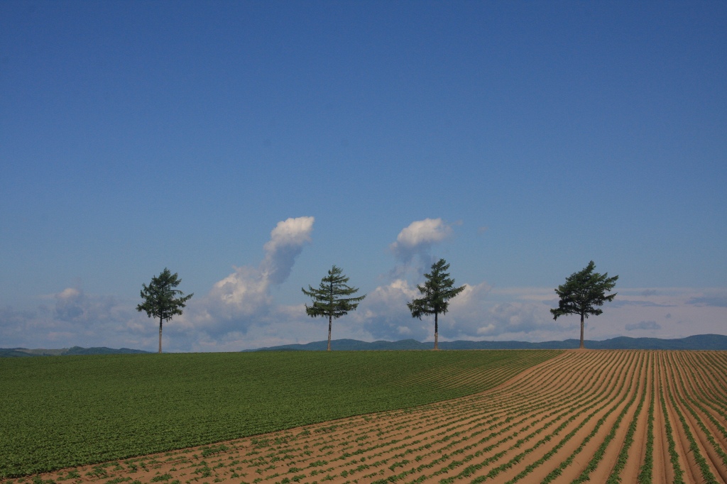 ファイル 73-3.jpg