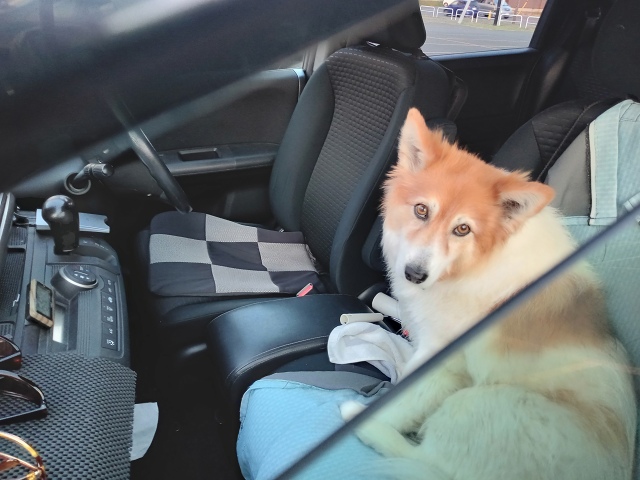 ファイル 76-2.jpg