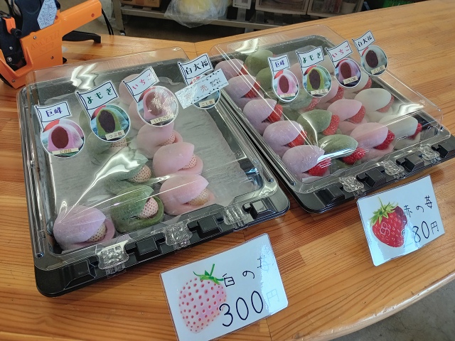 ファイル 77-3.jpg