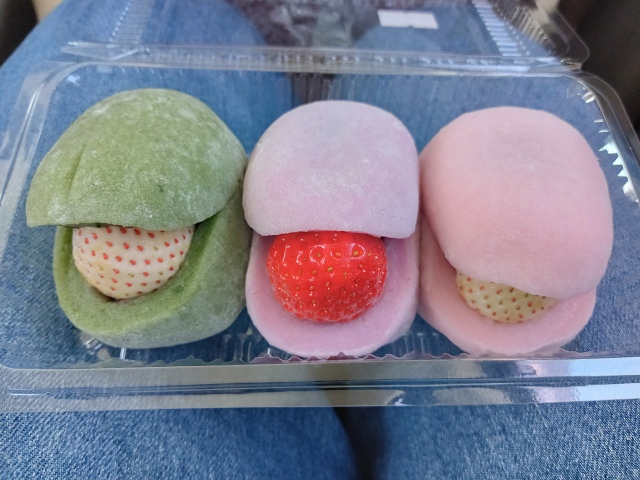 ファイル 77-5.jpg