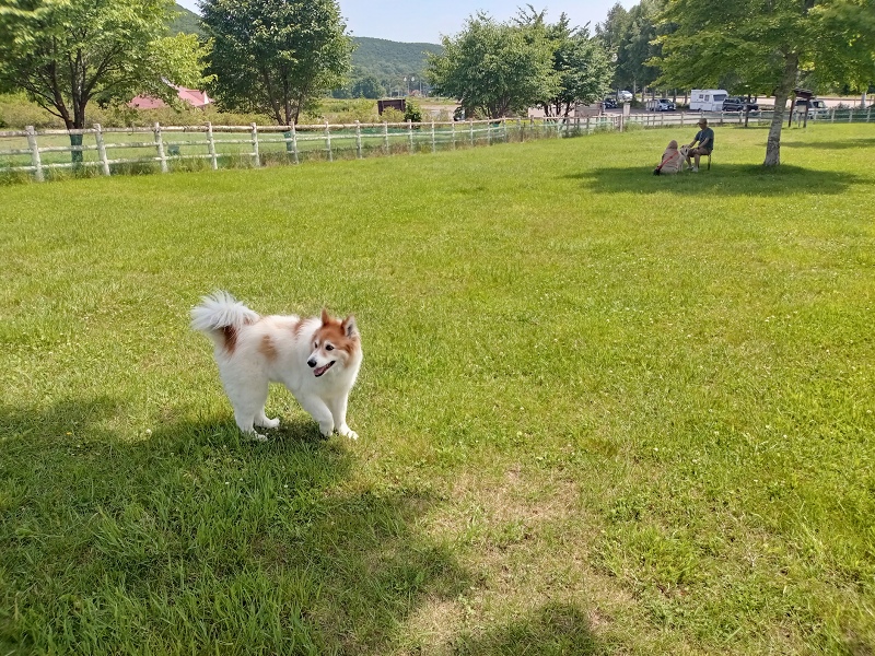 ファイル 77-6.jpg