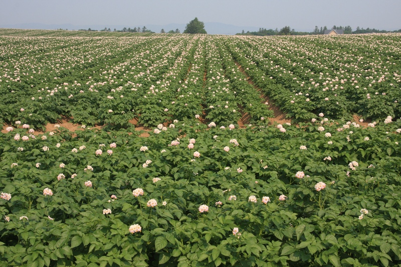 ファイル 80-8.jpg