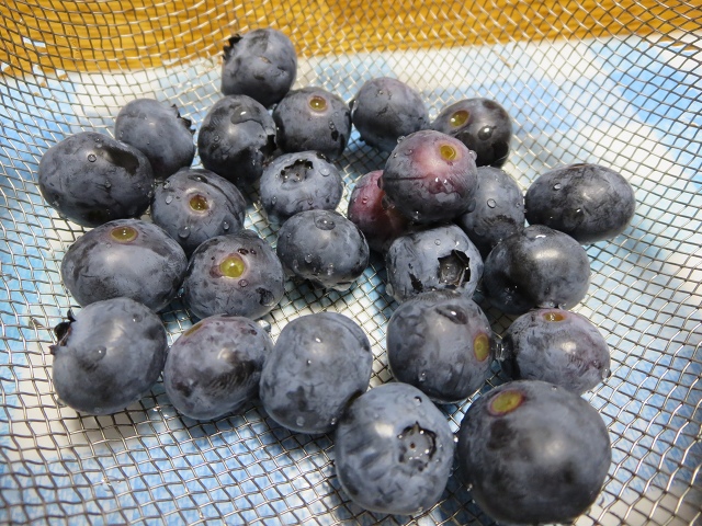 ファイル 82-2.jpg