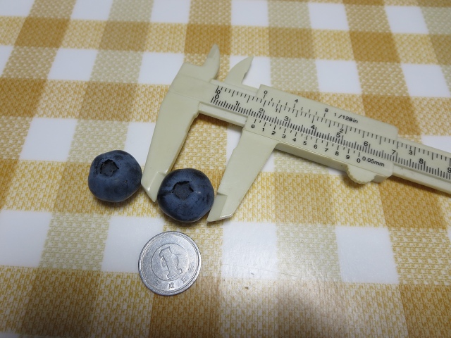 ファイル 82-3.jpg