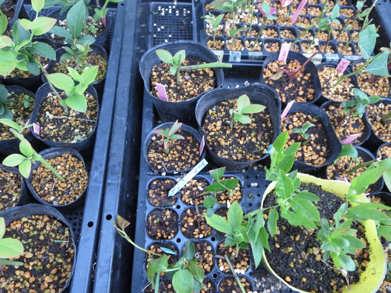 ファイル 82-5.jpg