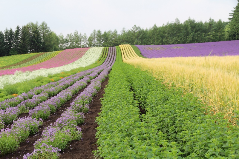 ファイル 83-2.jpg