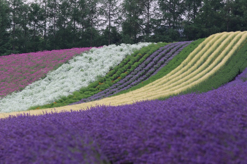 ファイル 83-3.jpg