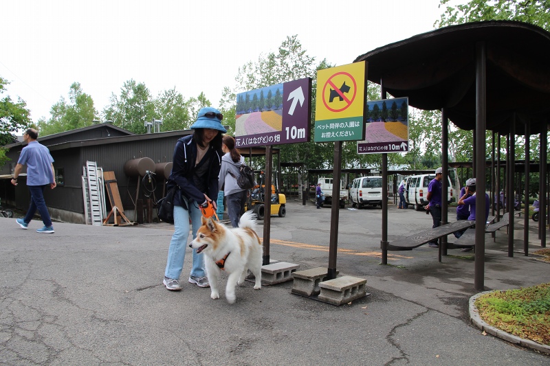 ファイル 83-6.jpg