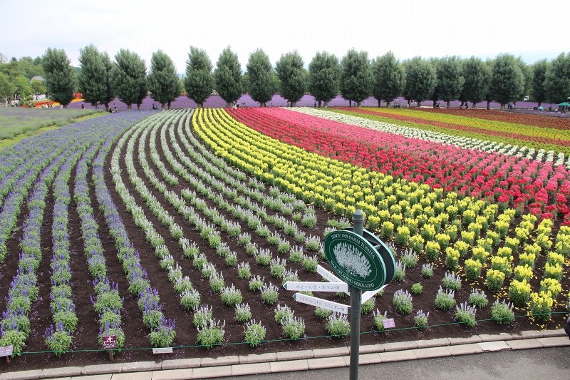 ファイル 83-9.jpg