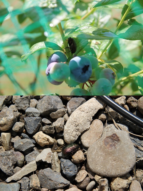 ファイル 84-3.jpg