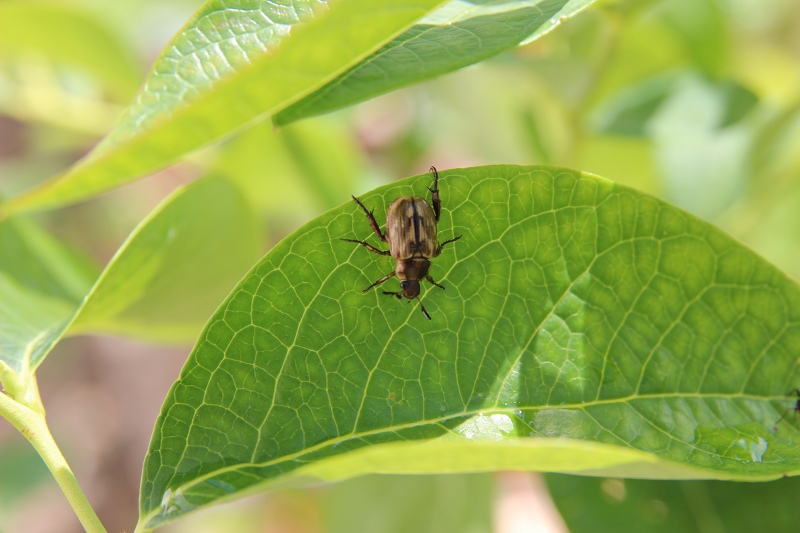 ファイル 84-4.jpg